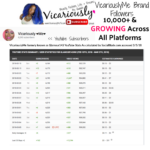 Media kit for vicariouslymetv blog